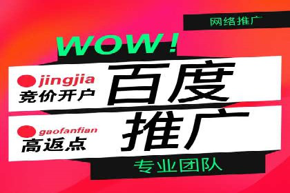 社交平台信息流竞价广告的投放策略与效果