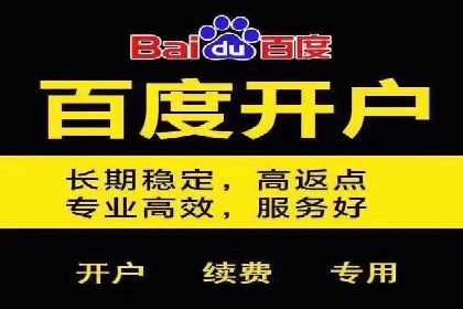 SEM托管服务案例：揭秘高效广告投放